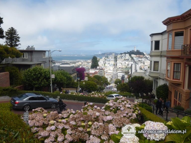Kręta Lombard Street z kwiatami i widokiem na zatokę