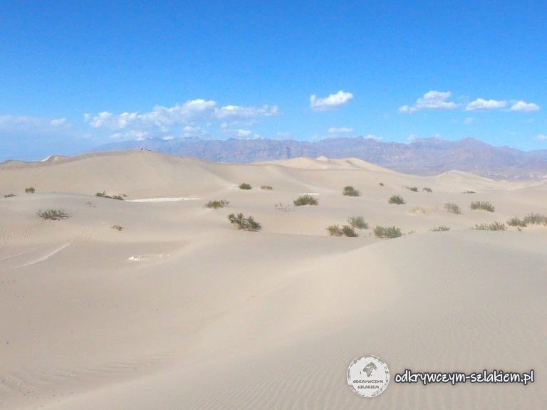 Wydmy Mesquite Flat Sand Dunes z kępami krzewów, w tle góry Doliny Śmierci