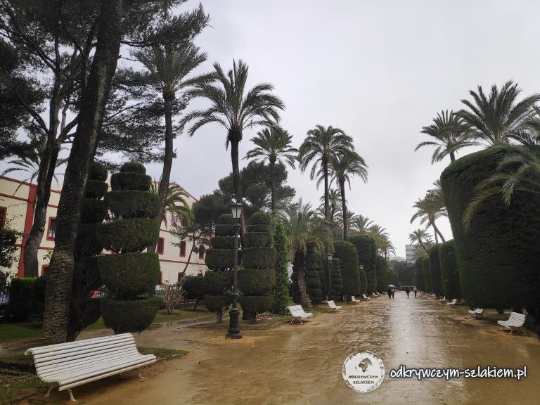 Alameda Apodaca z palmami w Kadyksie