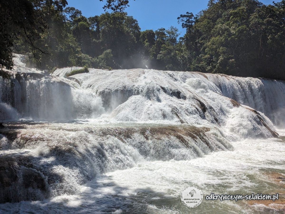 Anchas cascadas de Agua Azul en Chiapas: el agua baja por escalones de caliza entre la selva