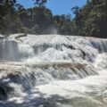 Szerokie kaskady Agua Azul w Chiapas – woda spływa po wapiennych progach wśród dżungli