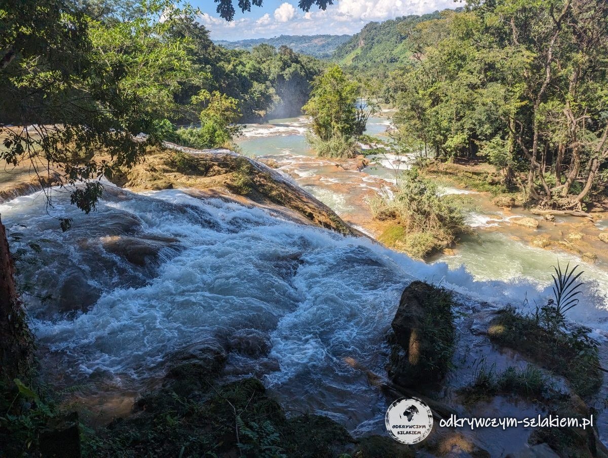 Cascadas espumosas de Agua Azul vistas desde arriba, con el valle verde del río al fondo