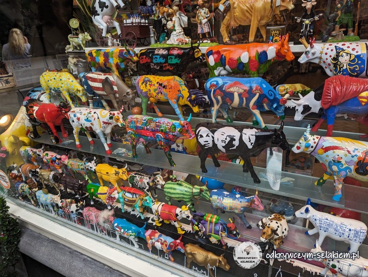 Shelves in an Amsterdam shop window with colourfully painted cow figurines