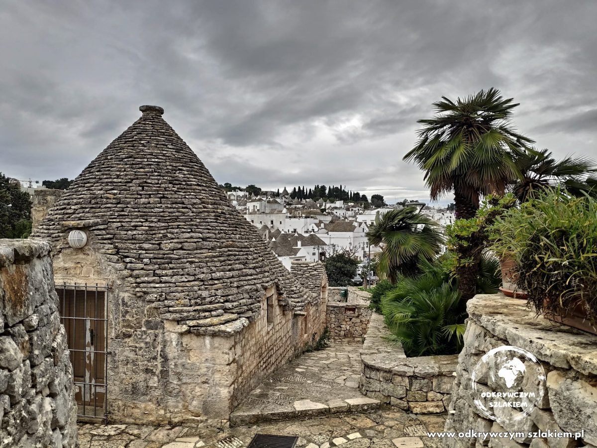 Trullo wśród palm na wzgórzu dzielnicy Rione Monti, w tle białe domy Alberobello