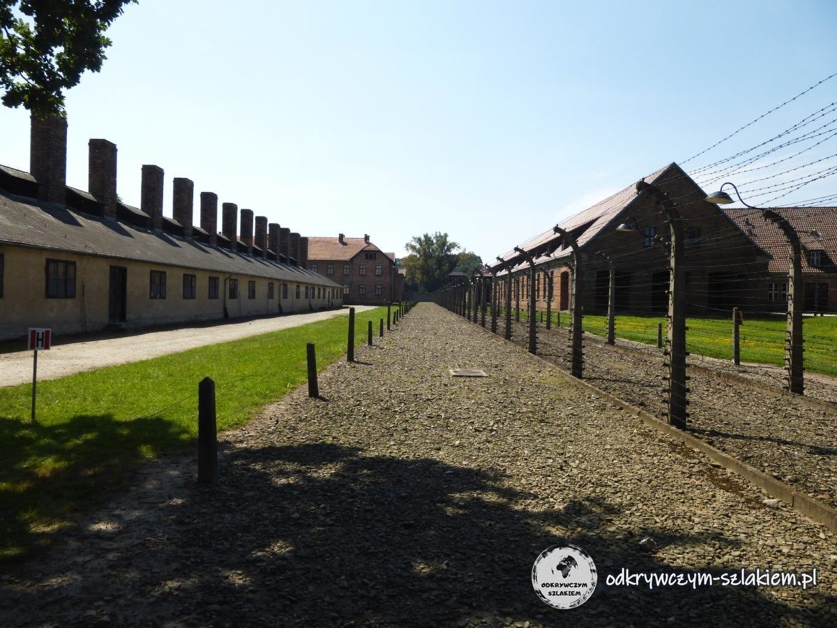 La doble alambrada de púas sobre postes de hormigón entre los bloques de Auschwitz I