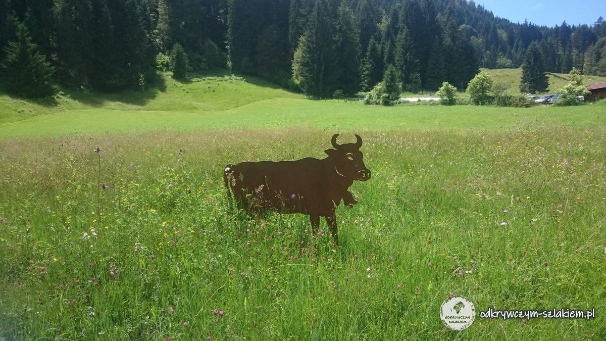 Eine Metallsilhouette einer Kuh auf der Wiese der Alpe Dornach