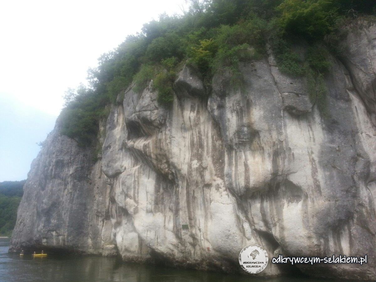 Ein Kalkfelsen über der Donau im Durchbruch bei Weltenburg