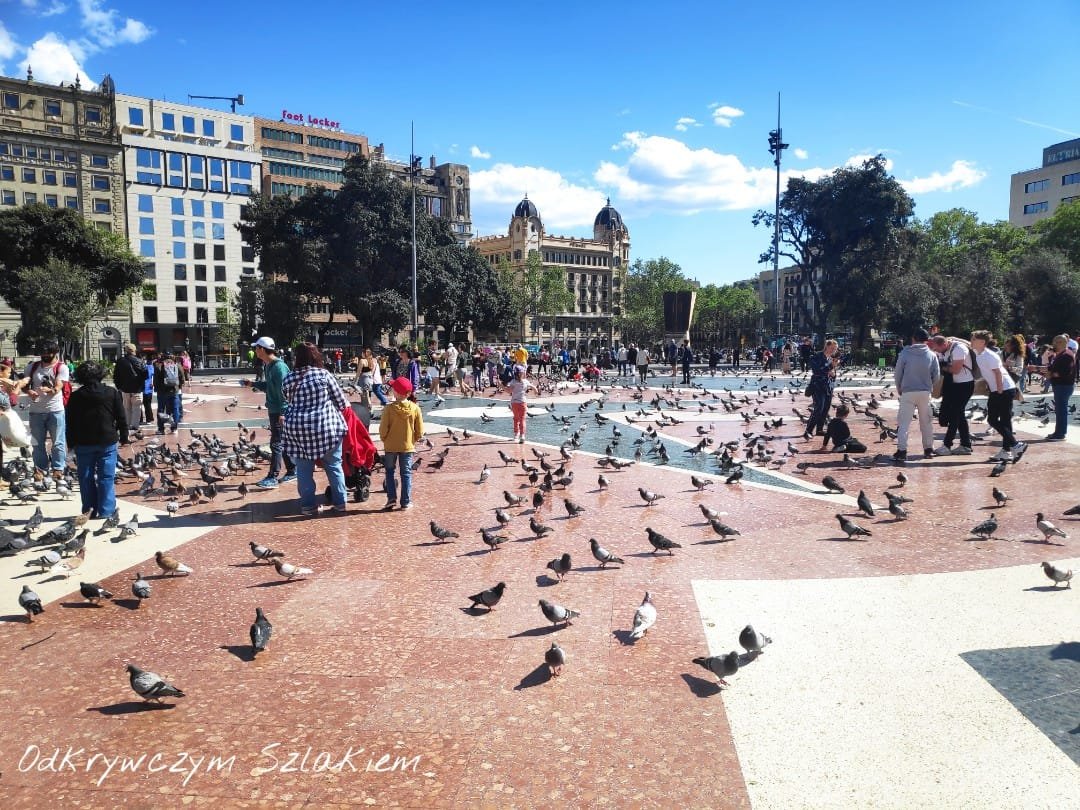 Plac Kataloński w centrum Barcelony z gołębiami i fontanną