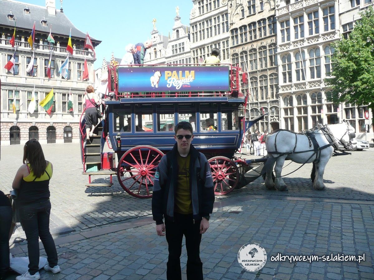 Dorożka konna na rynku Grote Markt w Antwerpii przed kamienicami cechowymi