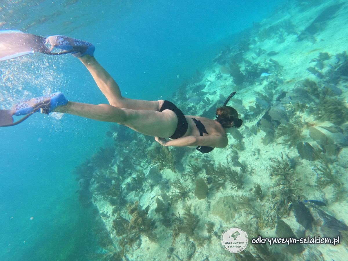 Snorkelling over the coral reef in Belize