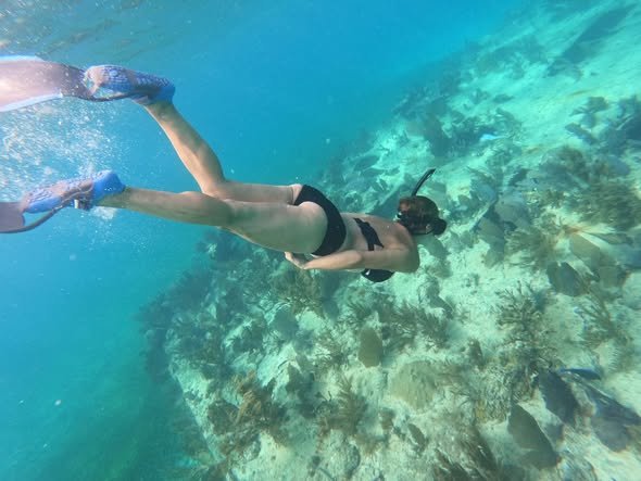 Snorkeling nad rafą koralową w Belize