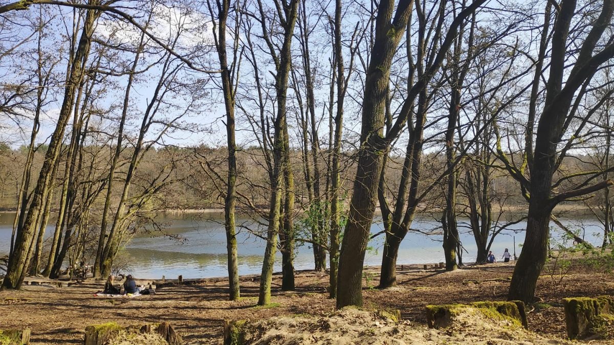 Jezioro Grunewaldsee wśród drzew lasu Grunewald wczesną wiosną