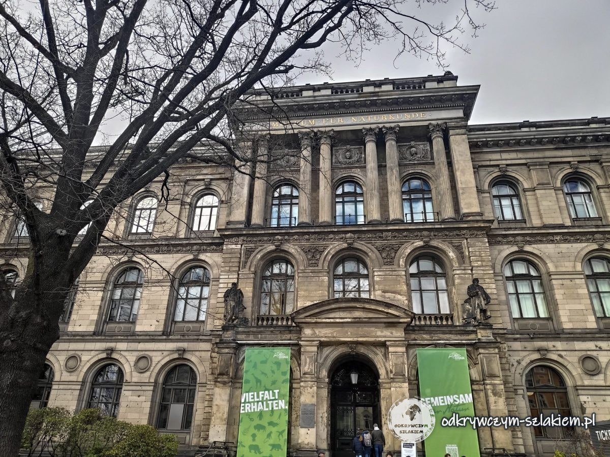 Muzeum Historii Naturalnej (Museum für Naturkunde) w Berlinie