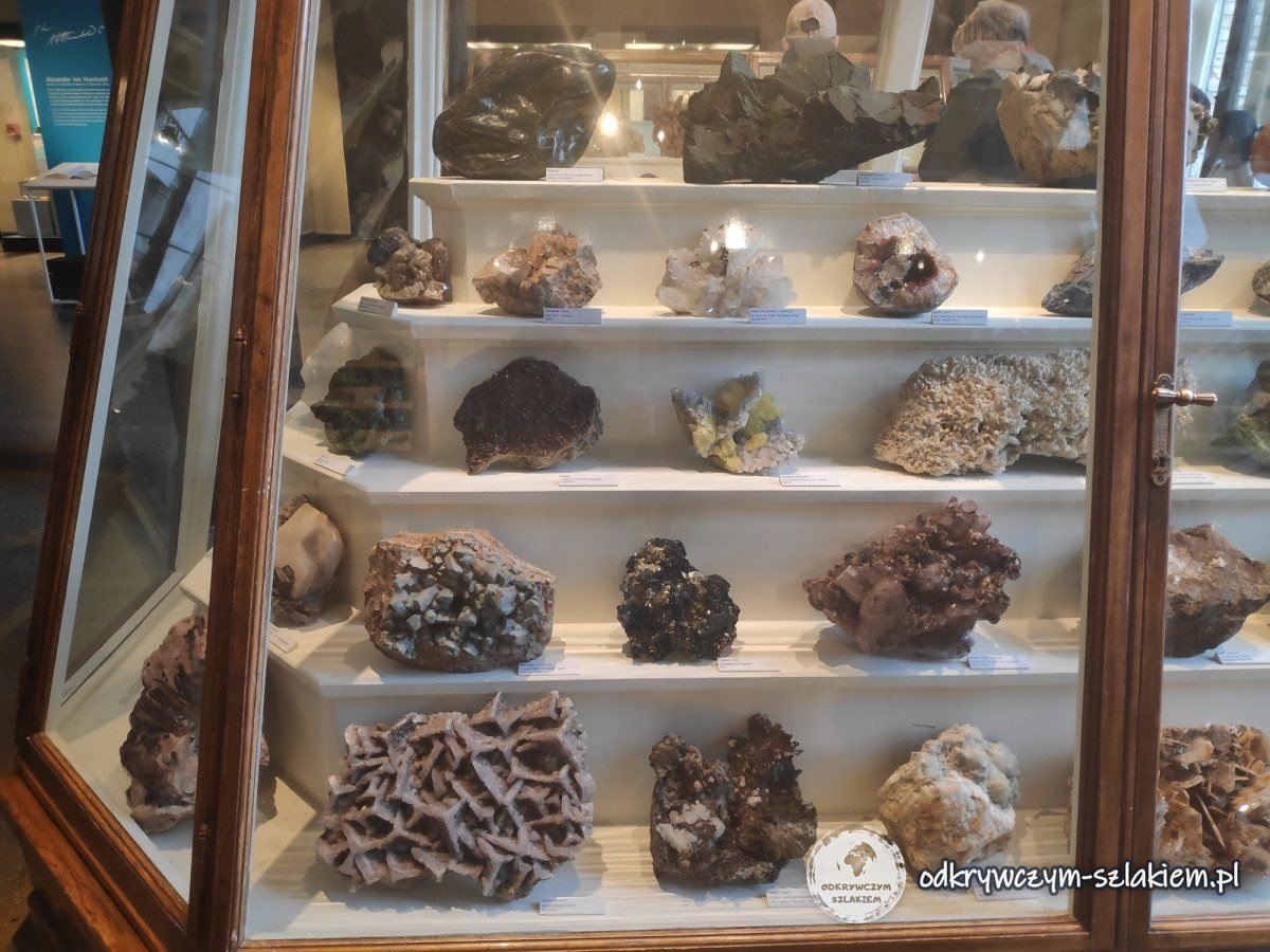 Gabloty z minerałami w Muzeum Historii Naturalnej