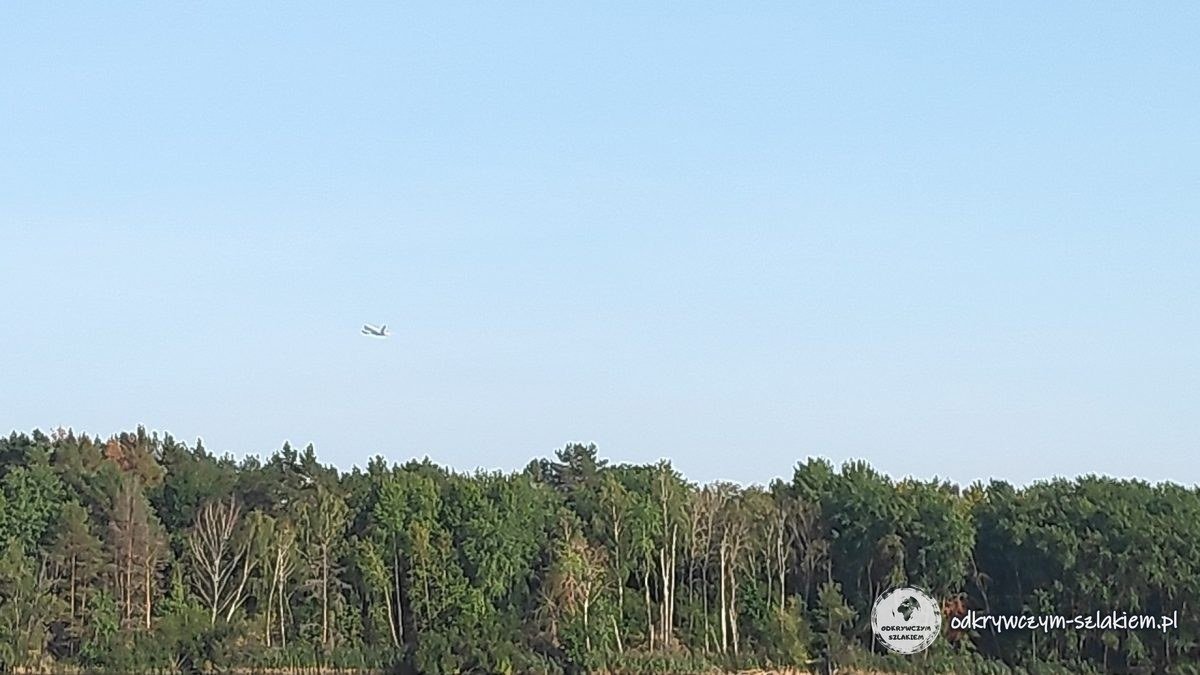 Ein Flugzeug über dem Wald am Flughafensee zwei Monate vor der Schließung des Flughafens Tegel
