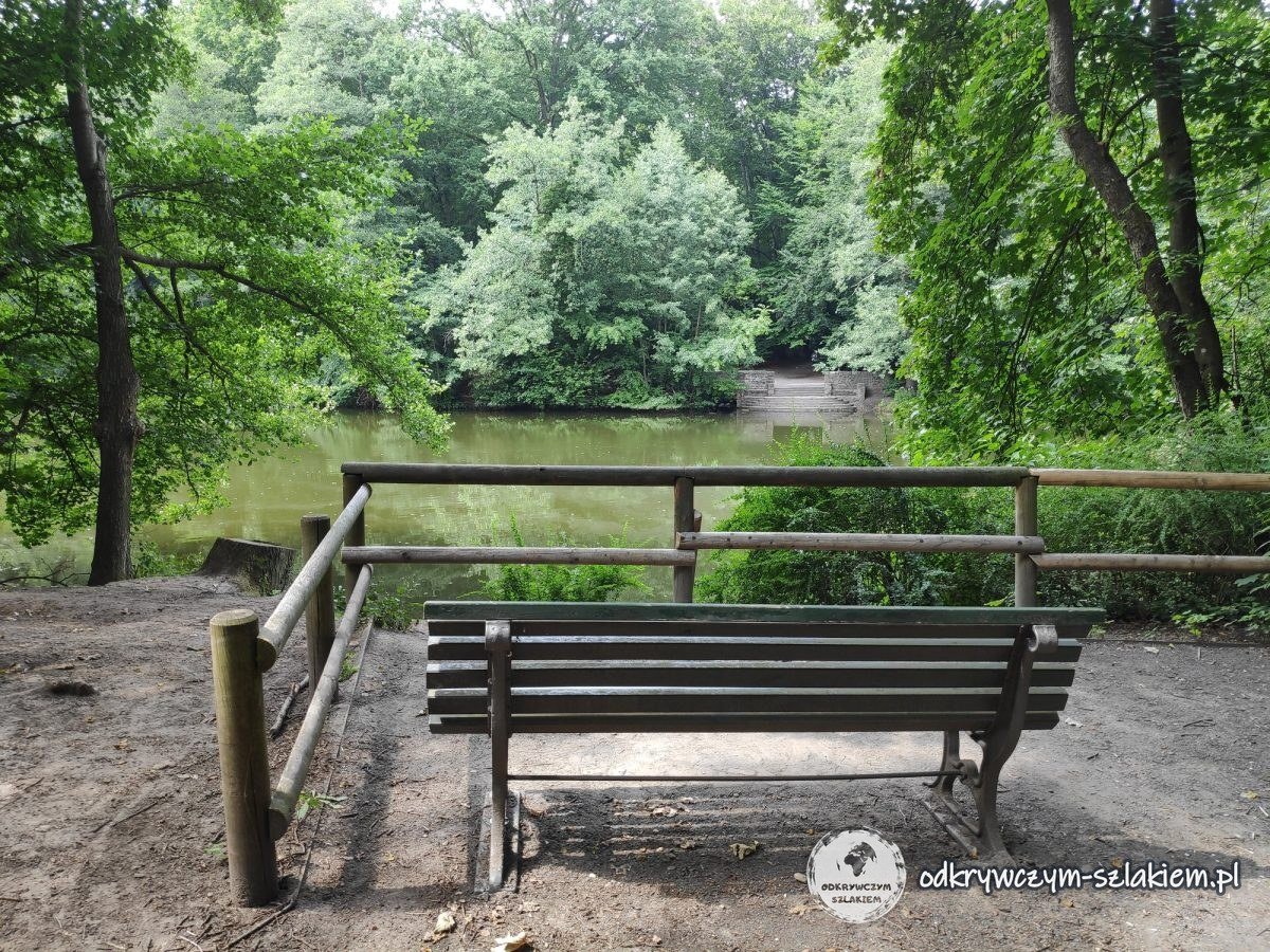 Eine Bank am Steinbergsee im Steinbergpark