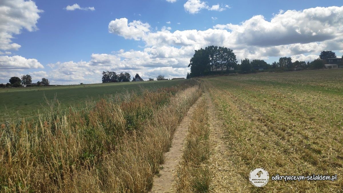 Ein Feldweg zwischen gemähten Feldern in Lübars