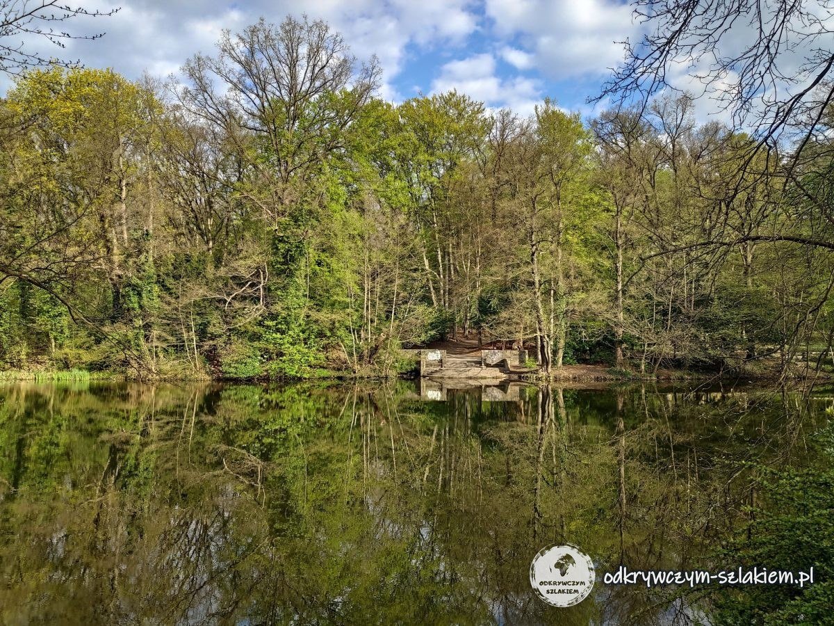 Bäume spiegeln sich an einem Aprilmorgen im Steinbergsee