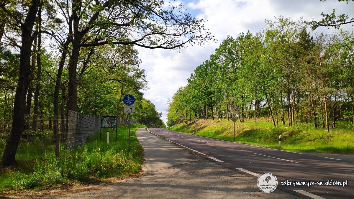 Droga rowerowa wzdłuż szosy do Rathenow wśród drzew na północ od Brandenburg an der Havel