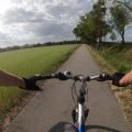 Widok z kierownicy roweru na asfaltową ścieżkę rowerową między polem a szpalerem drzew w dolinie Haweli