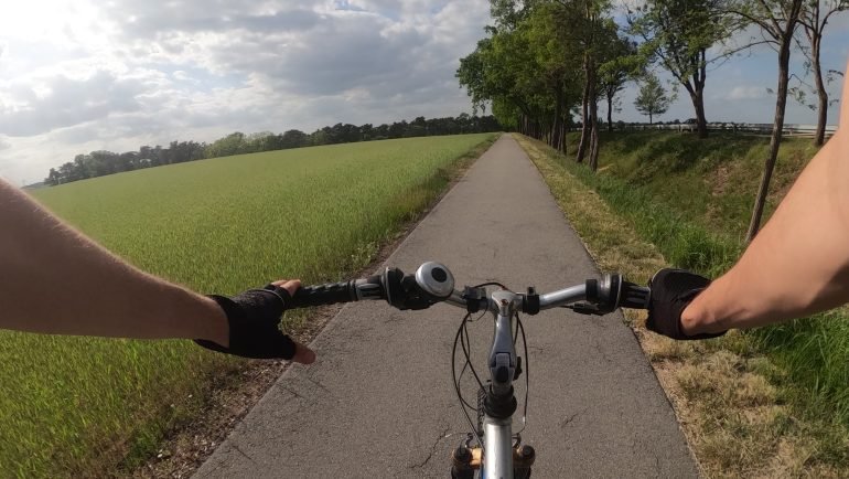 Widok z kierownicy roweru na asfaltową ścieżkę rowerową między polem a szpalerem drzew w dolinie Haweli