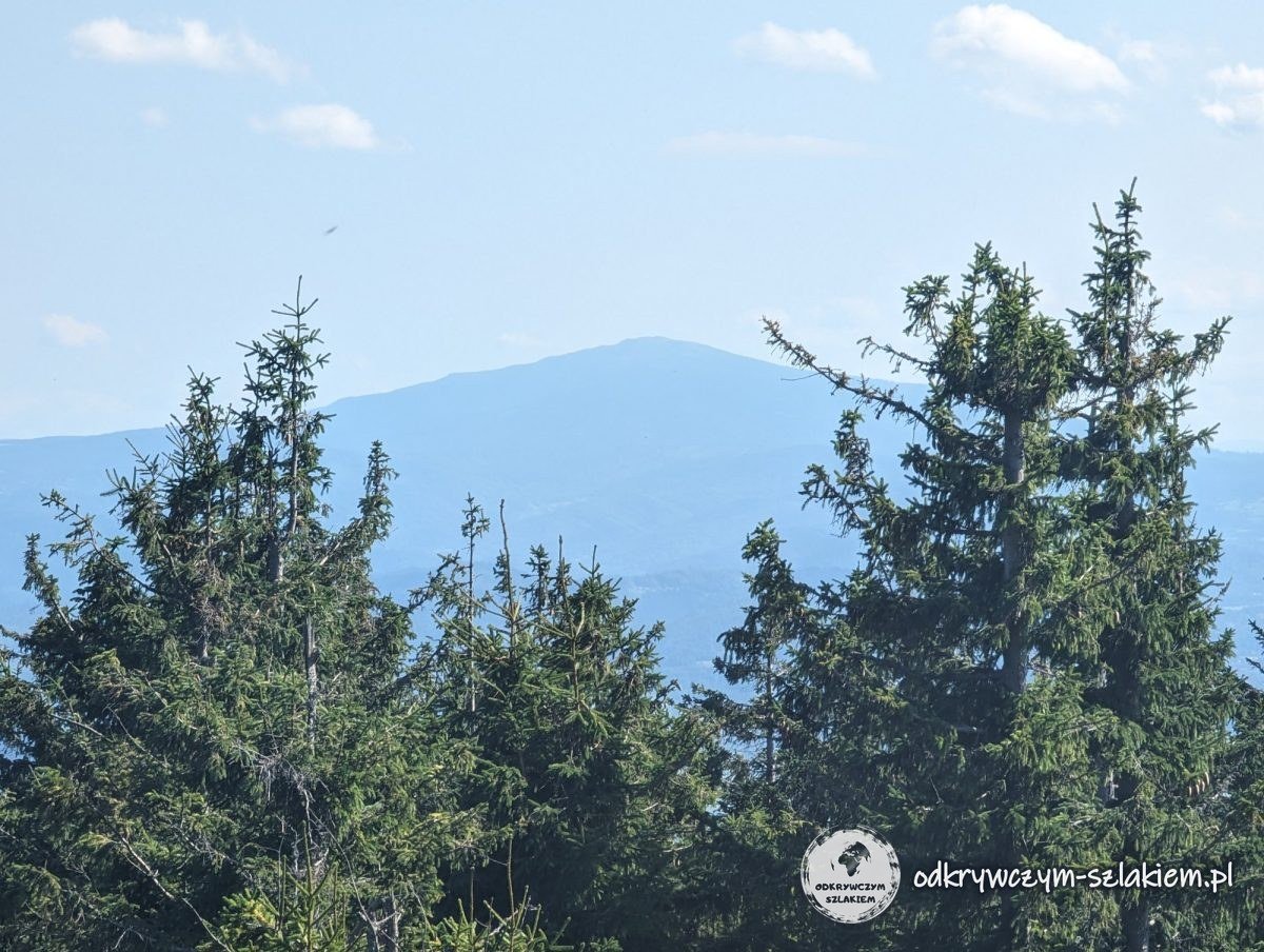 La Babia Góra vista desde el Skrzyczne tras los abetos