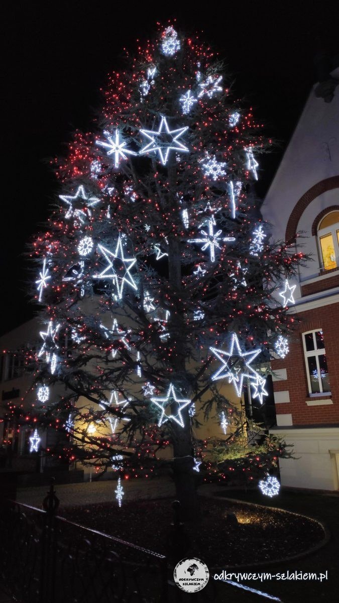 Drzewo ze świecącymi gwiazdami nocą w pobliżu dworca Lichterfelde Ost