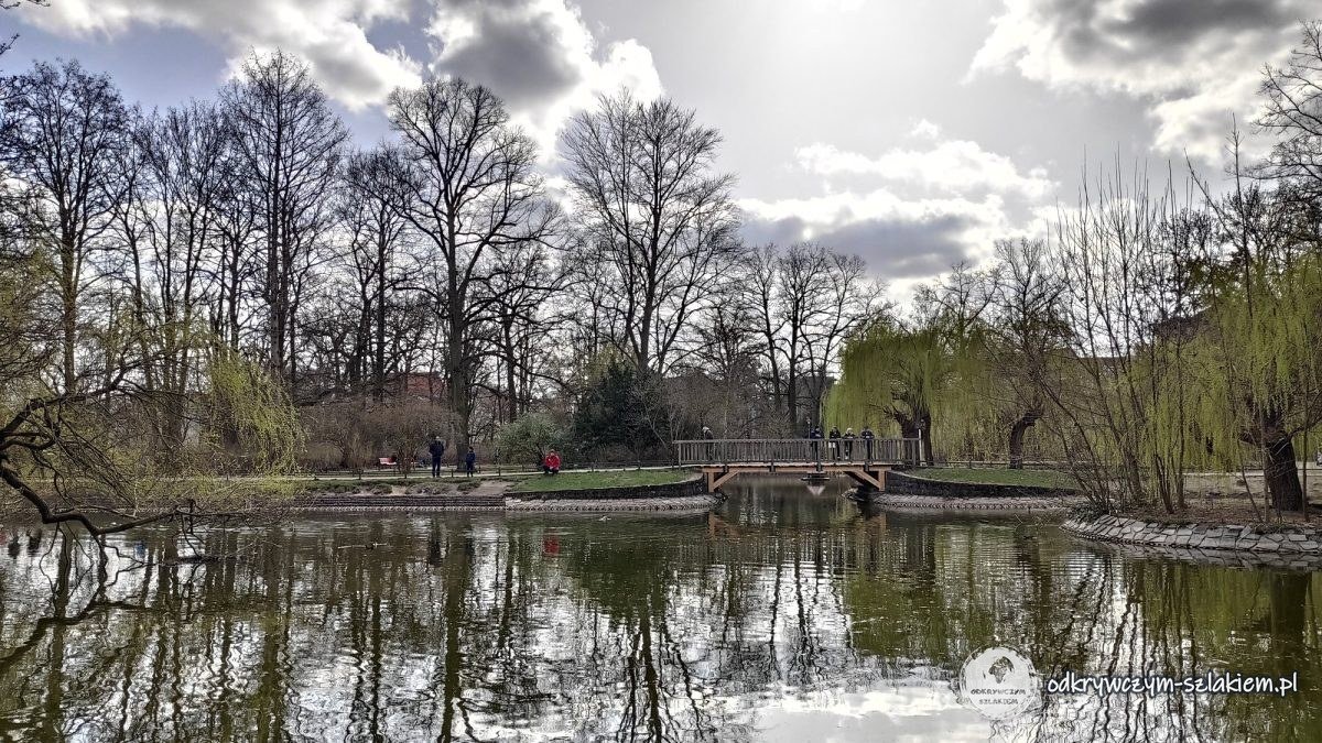 Staw z mostkiem i wierzbami w Stadtpark Steglitz wczesną wiosną