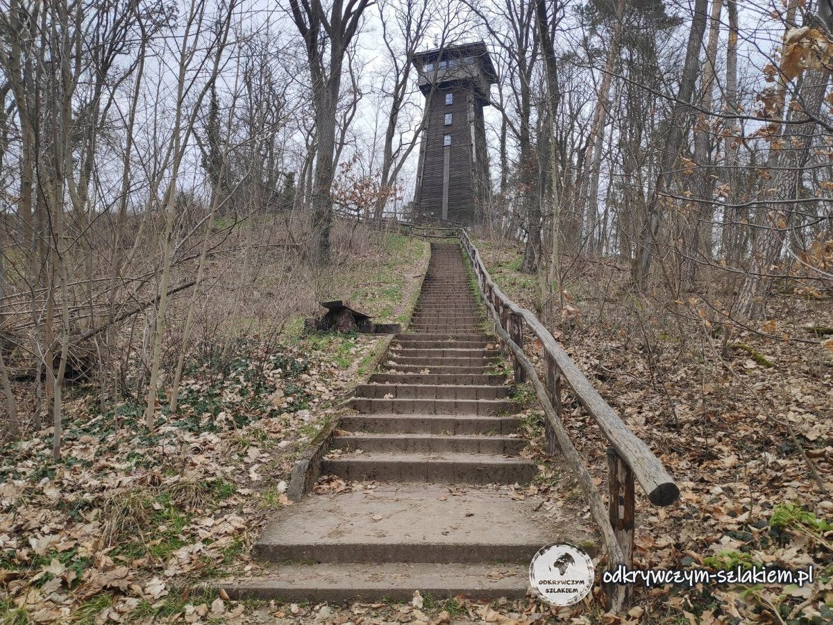 Schody na wzgórze Kranichsberg w Woltersdorf