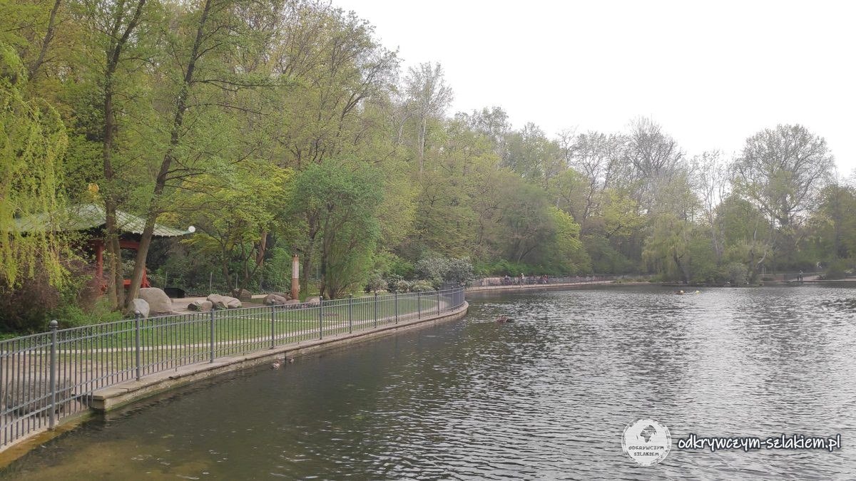Staw w Volkspark Friedrichshain