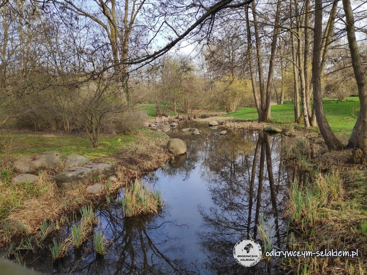 Strumień i staw w Britzer Garten