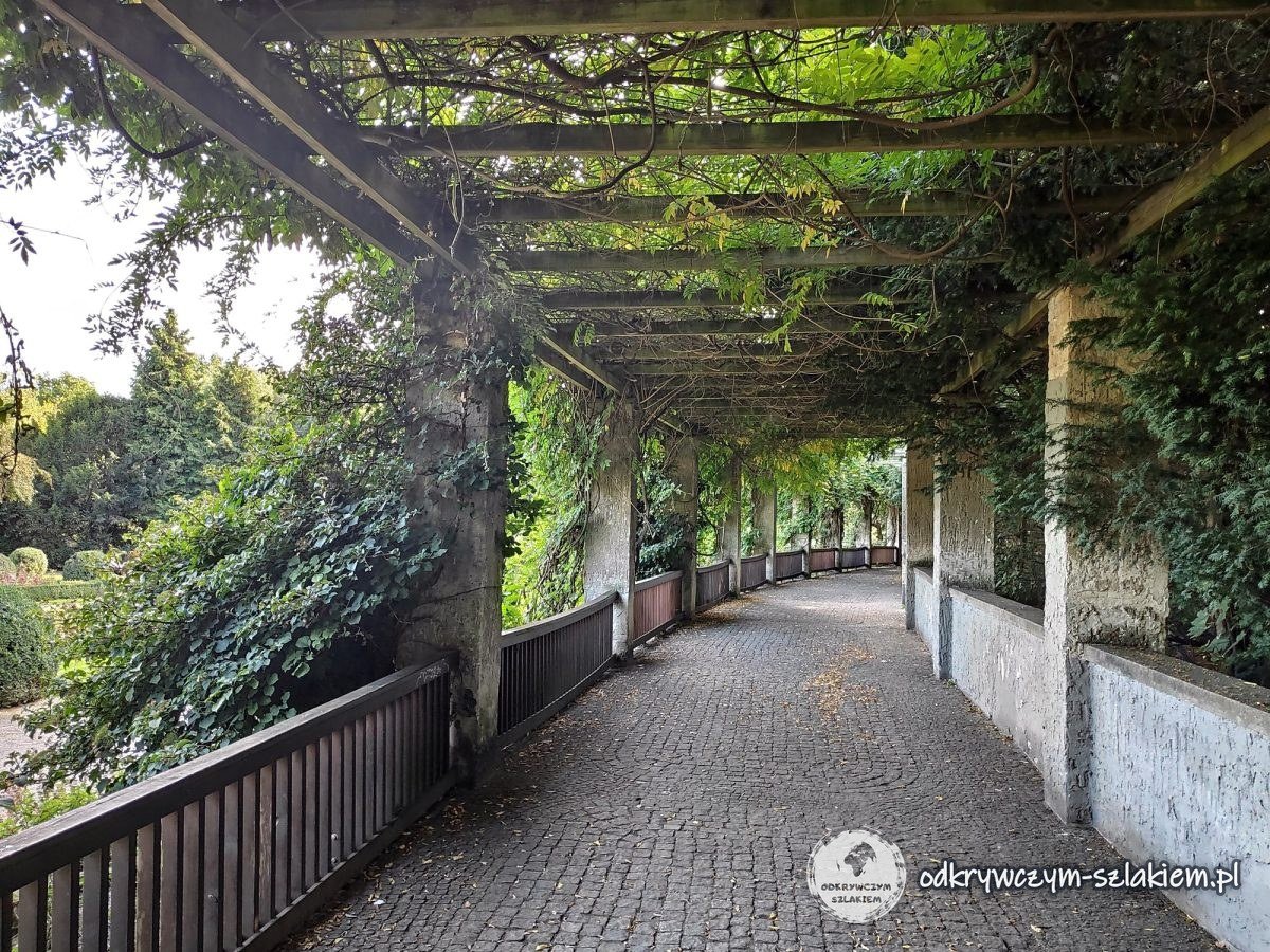 Zadaszona pergola w parku Humboldthain