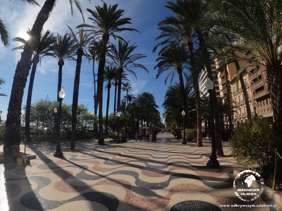 Promenada Explanada de España w Alicante wyłożona falistą mozaiką, wzdłuż palmy