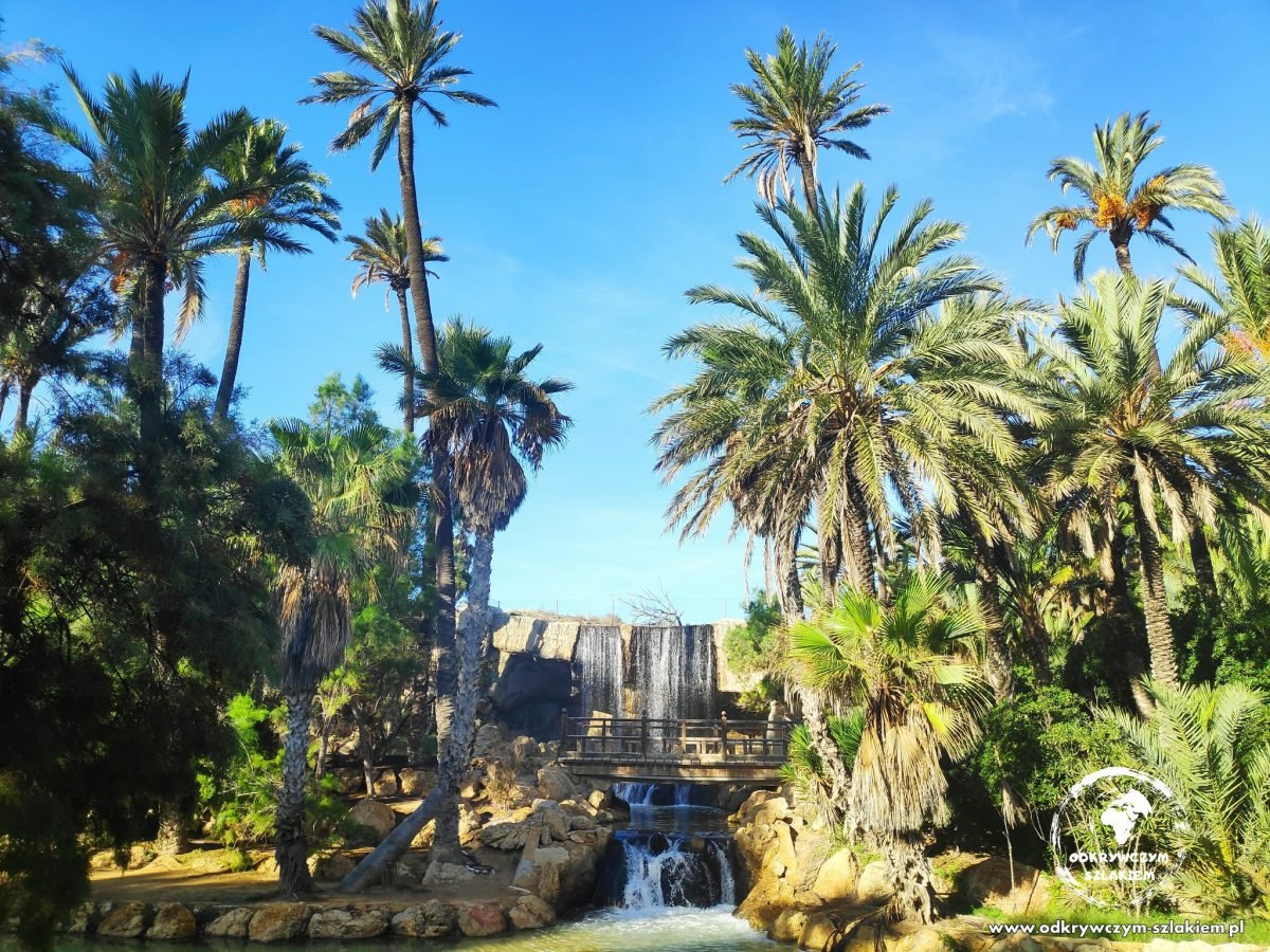 Palmy i strumień w parku El Palmeral w Alicante
