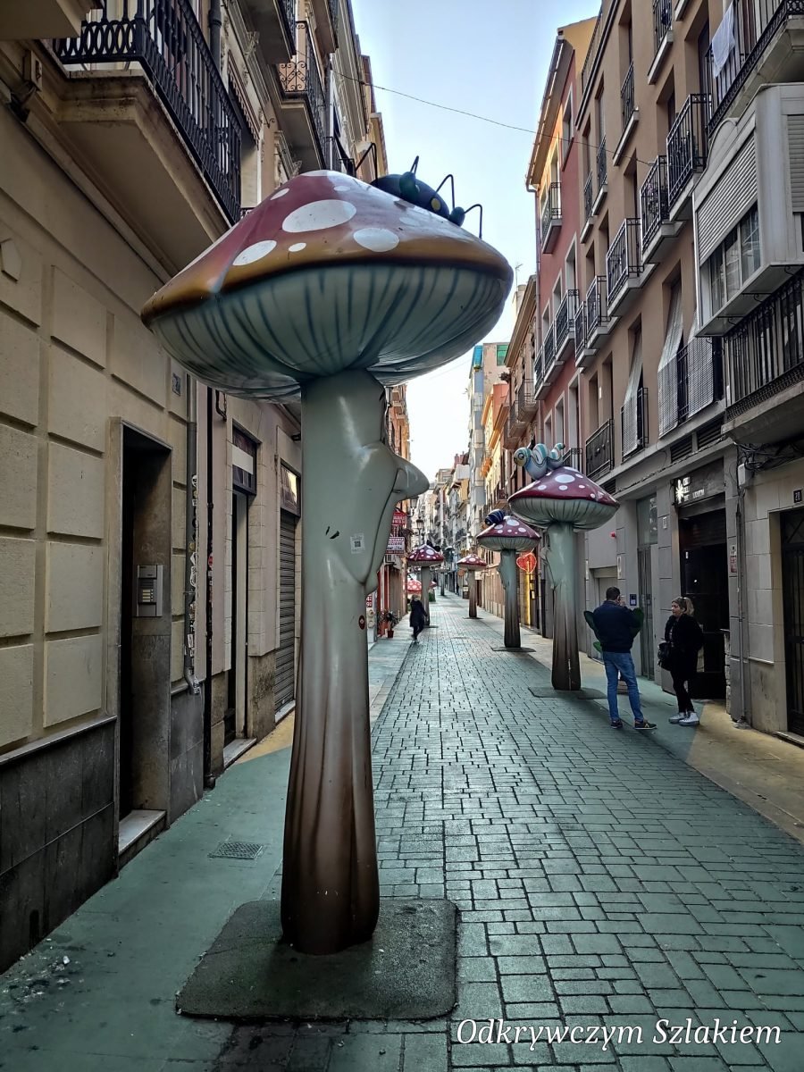 Ulica grzybów w Alicante – wielkie rzeźby grzybów na deptaku