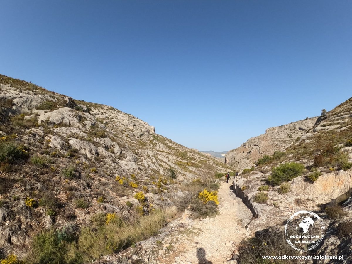 Ścieżka wśród suchych zarośli na szlaku Barranc dels Tarongers