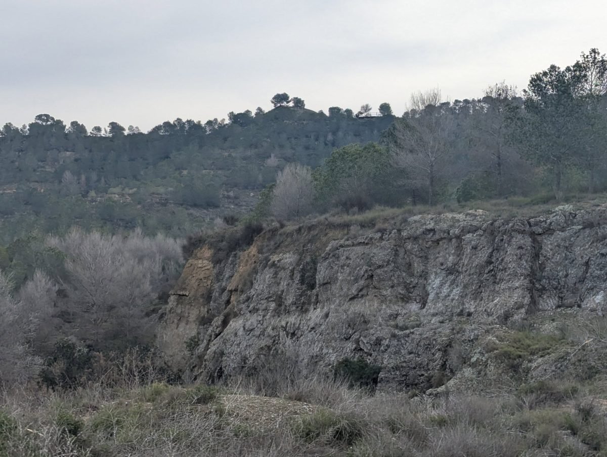 Skalna skarpa i sosny na szlaku PR-CV 442 w Benejúzar