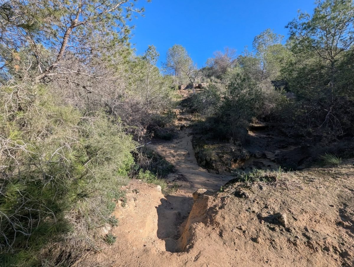 Szlak schodzący do wąwozu wśród krzewów na trasie La Caldera del Gigante