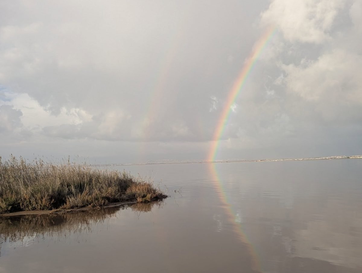 Tęcza odbijająca się w tafli różowego jeziora Laguna Salada de Torrevieja zimą