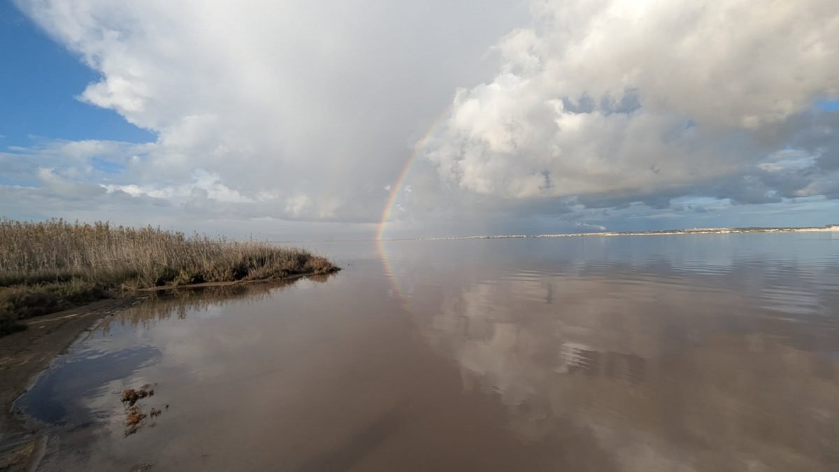 Tęcza nad różowym jeziorem Laguna Salada de Torrevieja i trzciny przy brzegu