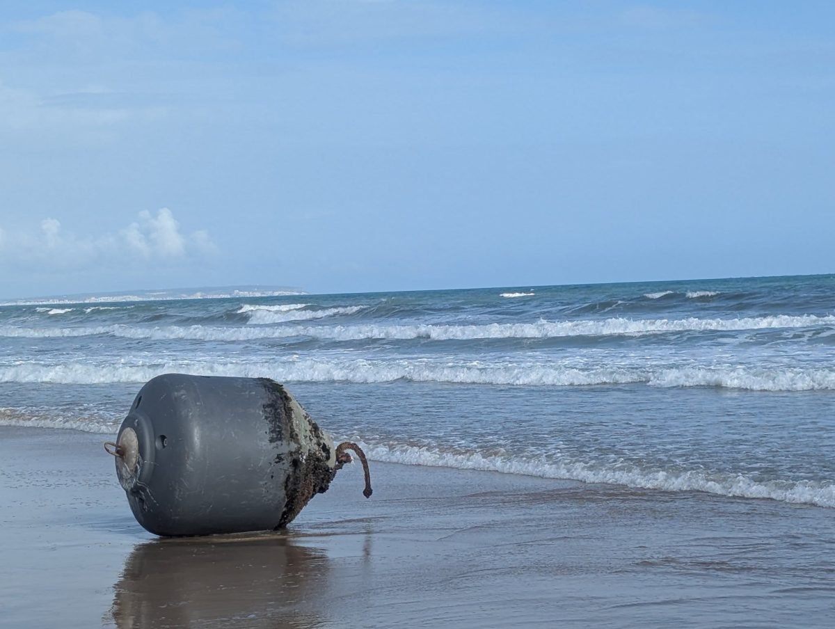 Wielka boja wyrzucona przez fale na piaszczystą plażę na Costa Blanca