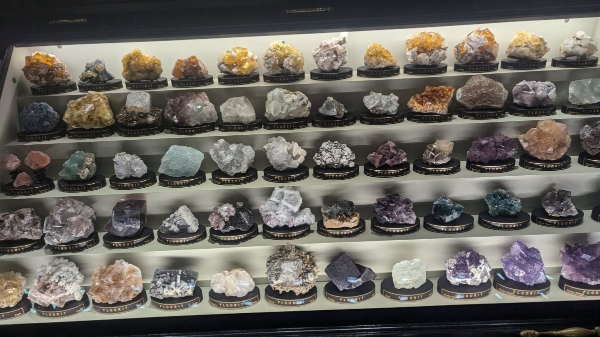 Półki z kolorowymi minerałami w Muzeum Narodowym w Pradze