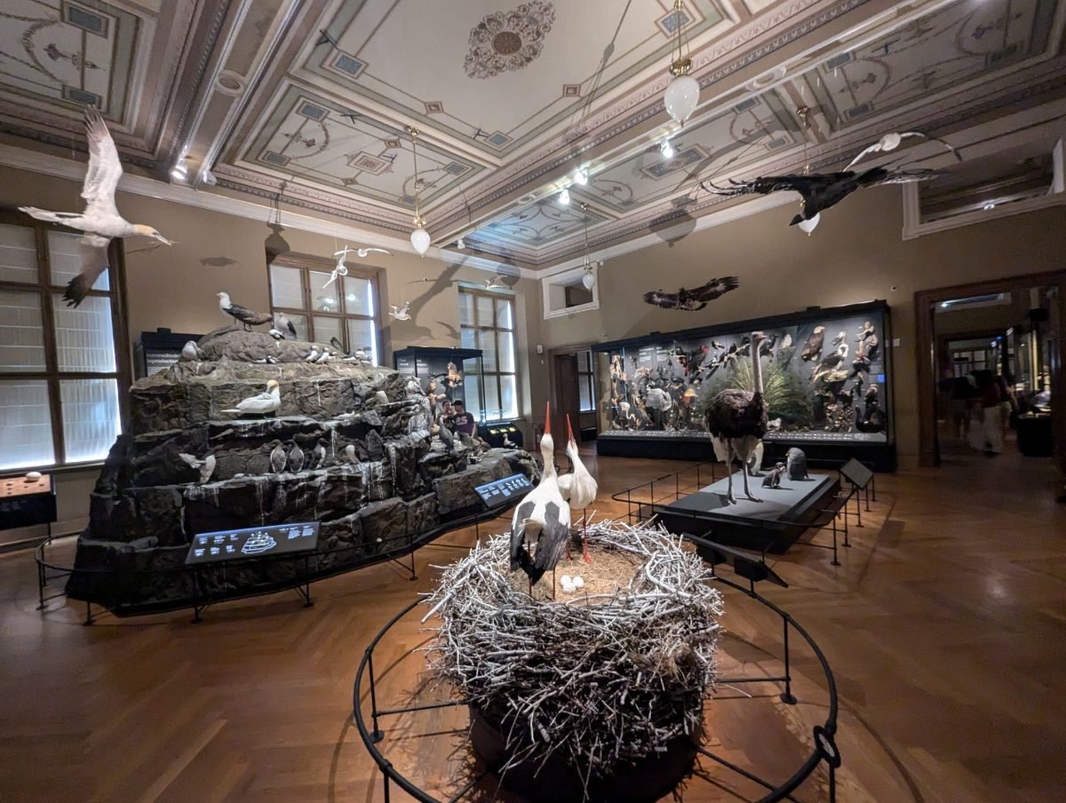 Sala zoologiczna Muzeum Narodowego w Pradze z gniazdem bocianów i gablotami