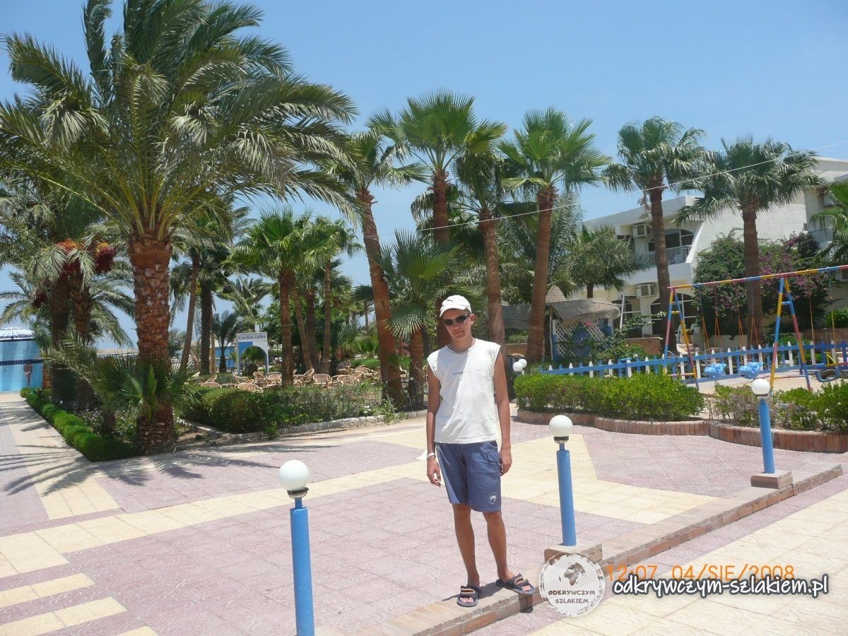 Palmeras en el jardín de un hotel en Hurghada