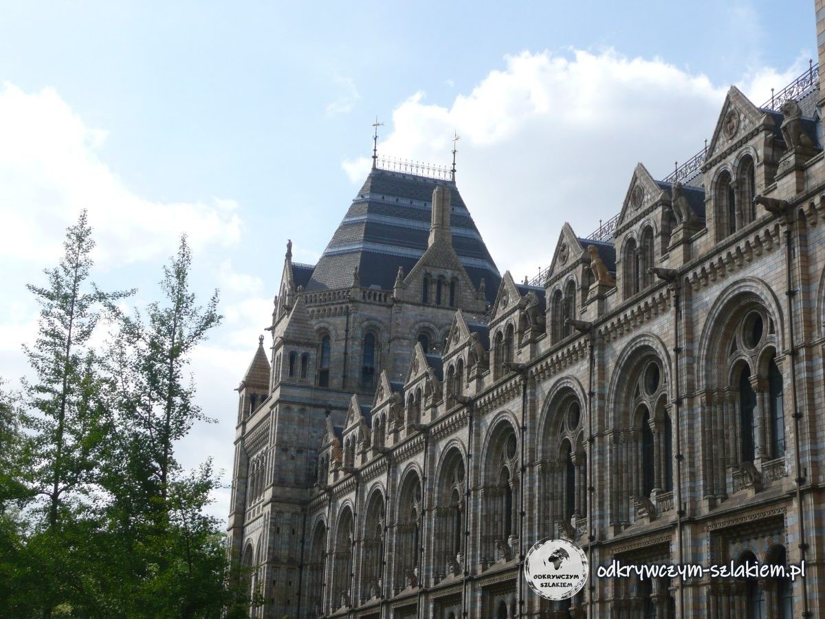 Neoromańska fasada Muzeum Historii Naturalnej w Londynie