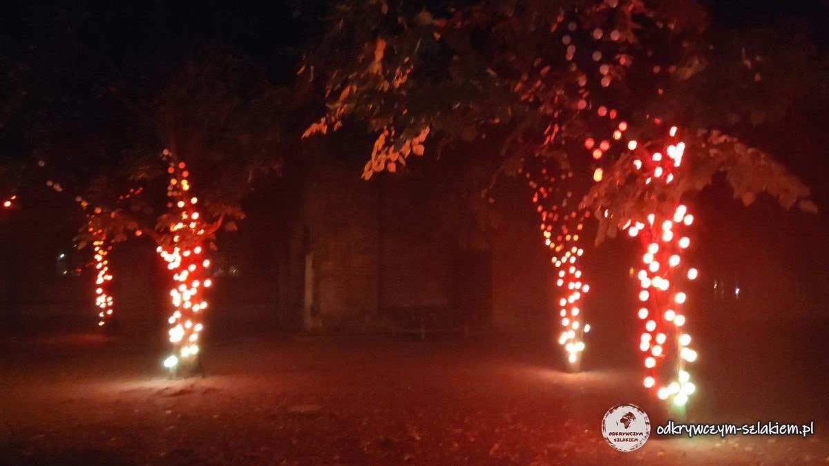 Podświetlone na czerwono drzewa – Festival of Lights 2021