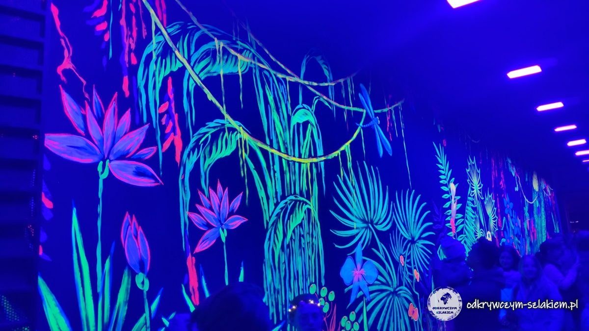 Świecące rośliny w tunelu – instalacja Festival of Lights 2022