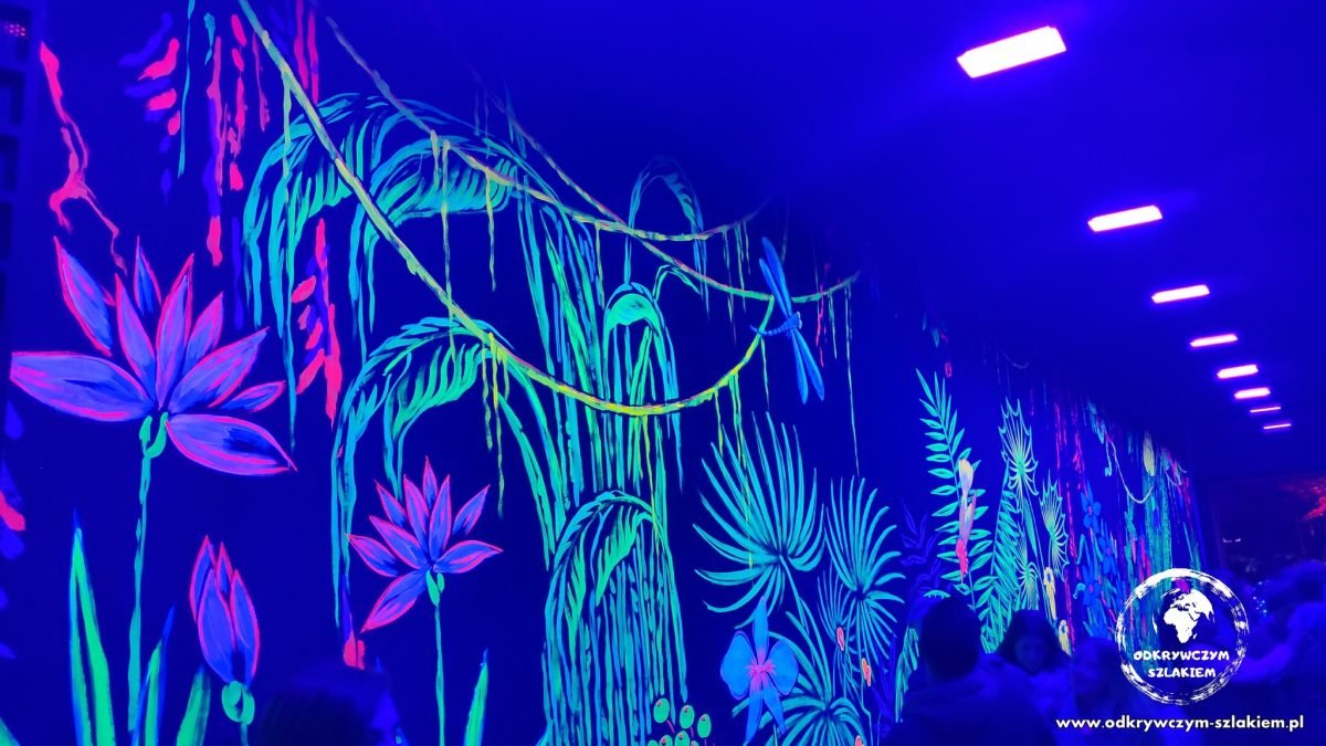 Świecące w ultrafiolecie rośliny na ścianach przejścia przy Alte Potsdamer Straße – instalacja Urban Nature (Festival of Lights 2022)