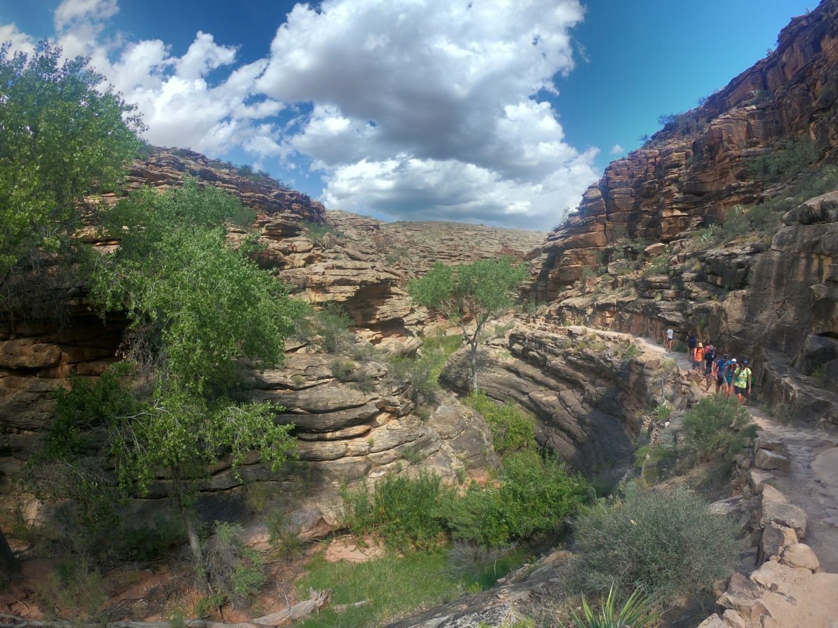 Zielony odcinek szlaku Bright Angel Trail w dolnej części kanionu