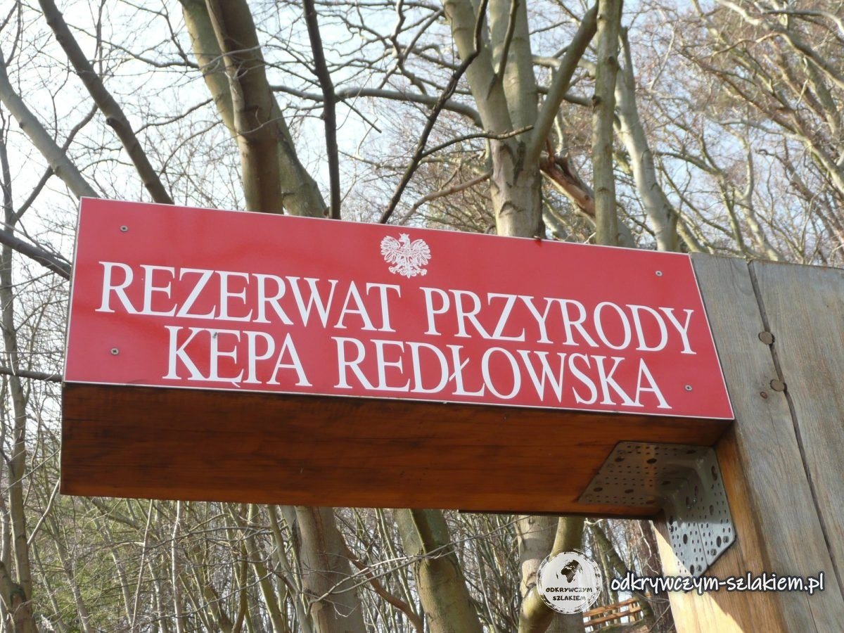 A red sign reading Rezerwat Przyrody Kępa Redłowska (Kępa Redłowska Nature Reserve) on a wooden post among the trees